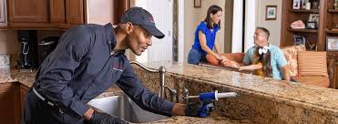 Best Pest Prevention Services  in Ravena, NY