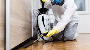 Best Fumigation Services  in Ravena, NY